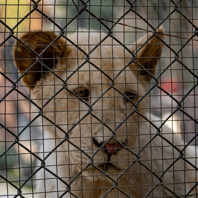 maheera-kulsoom-zrjoFNyxBUc-unsplash (1) (1)